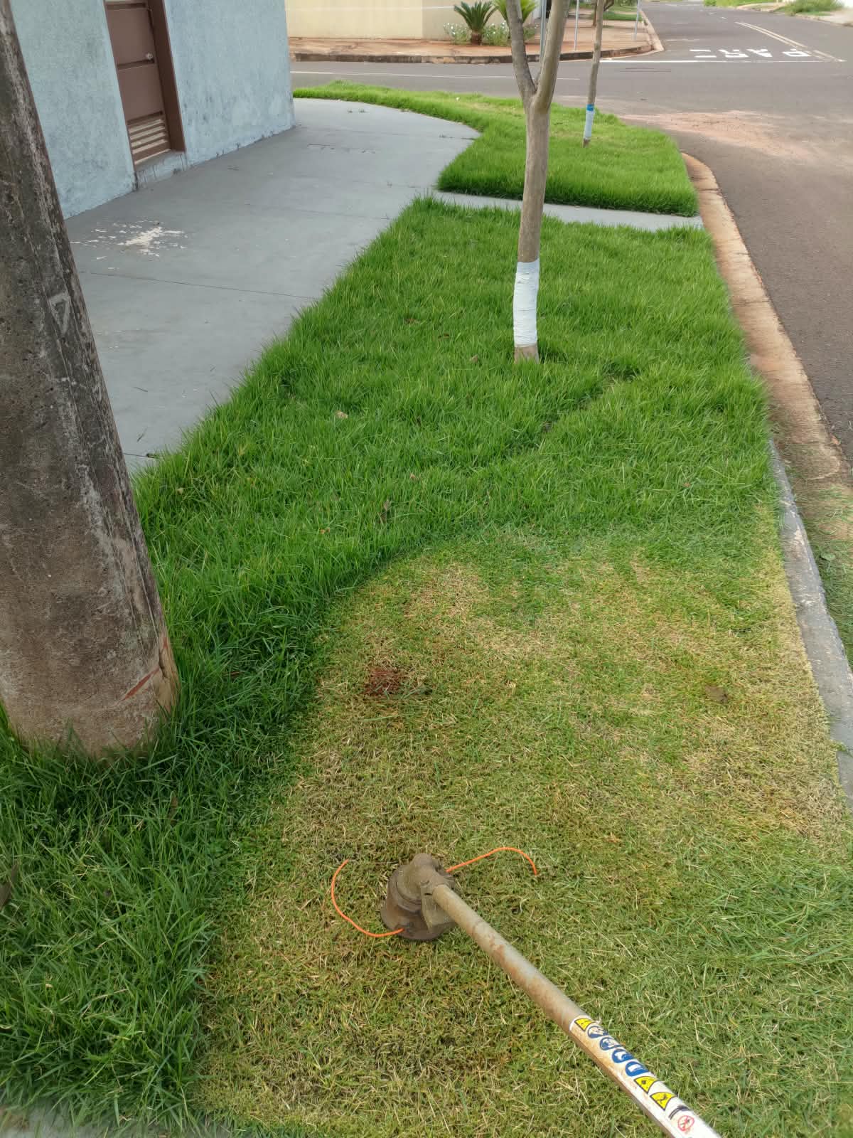 Corte e aparo de grama profissional com acabamento de borda